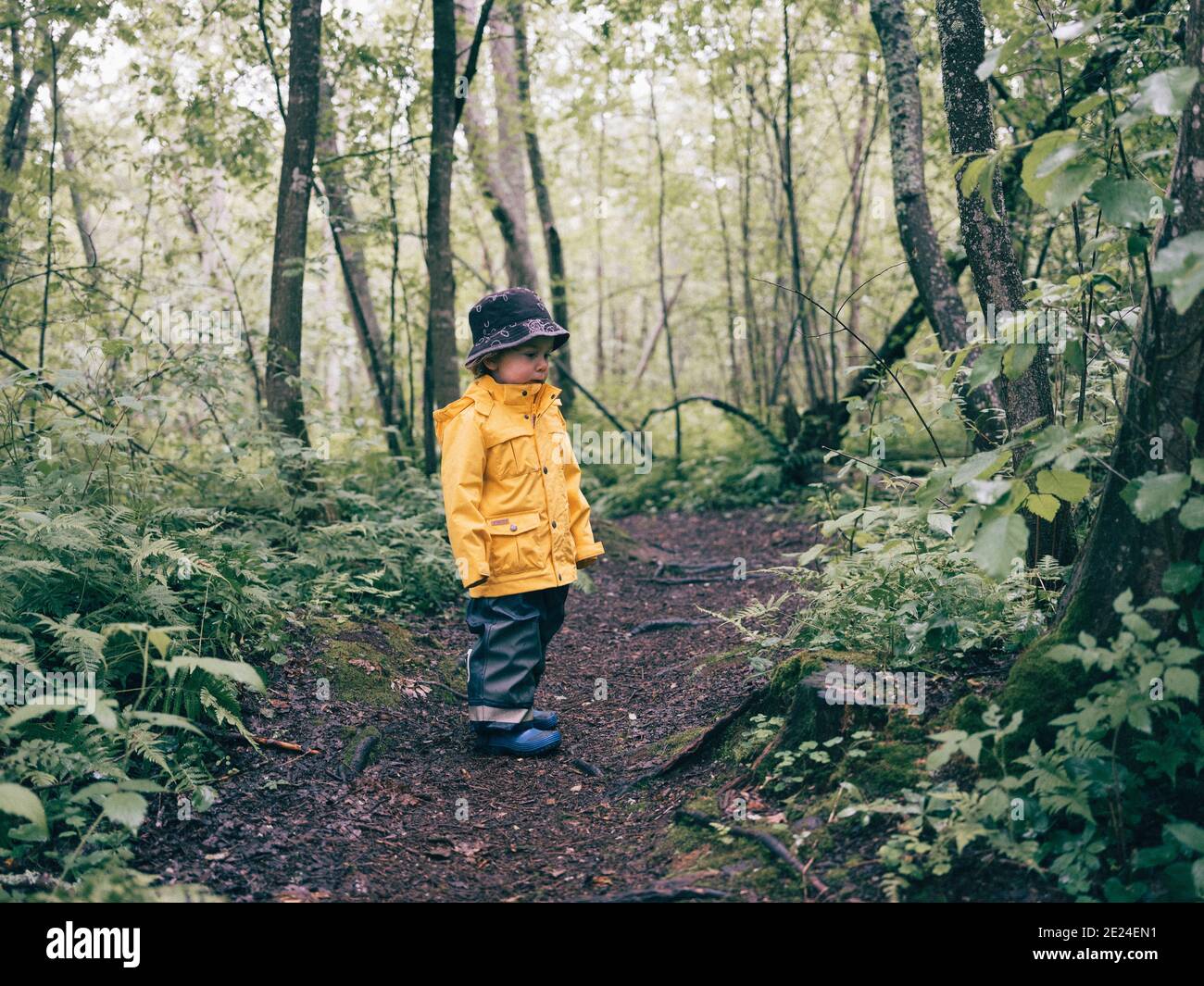 Toddler walking in forest Stock Photo