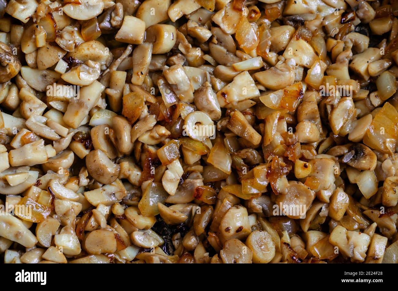 Roasted mushrooms with onions, detailed shot. Diced mushrooms fried in