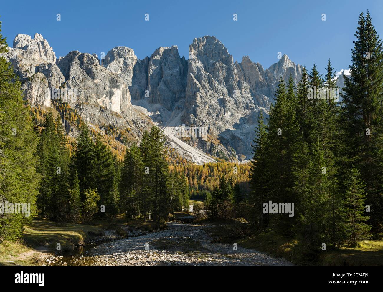 Cima dei Bureloni, Cima della Vezzana.  Peaks towering over  Val Venegia.  Pala mountain range (Pale di San Martino) in the dolomites of Trentino. Pal Stock Photo