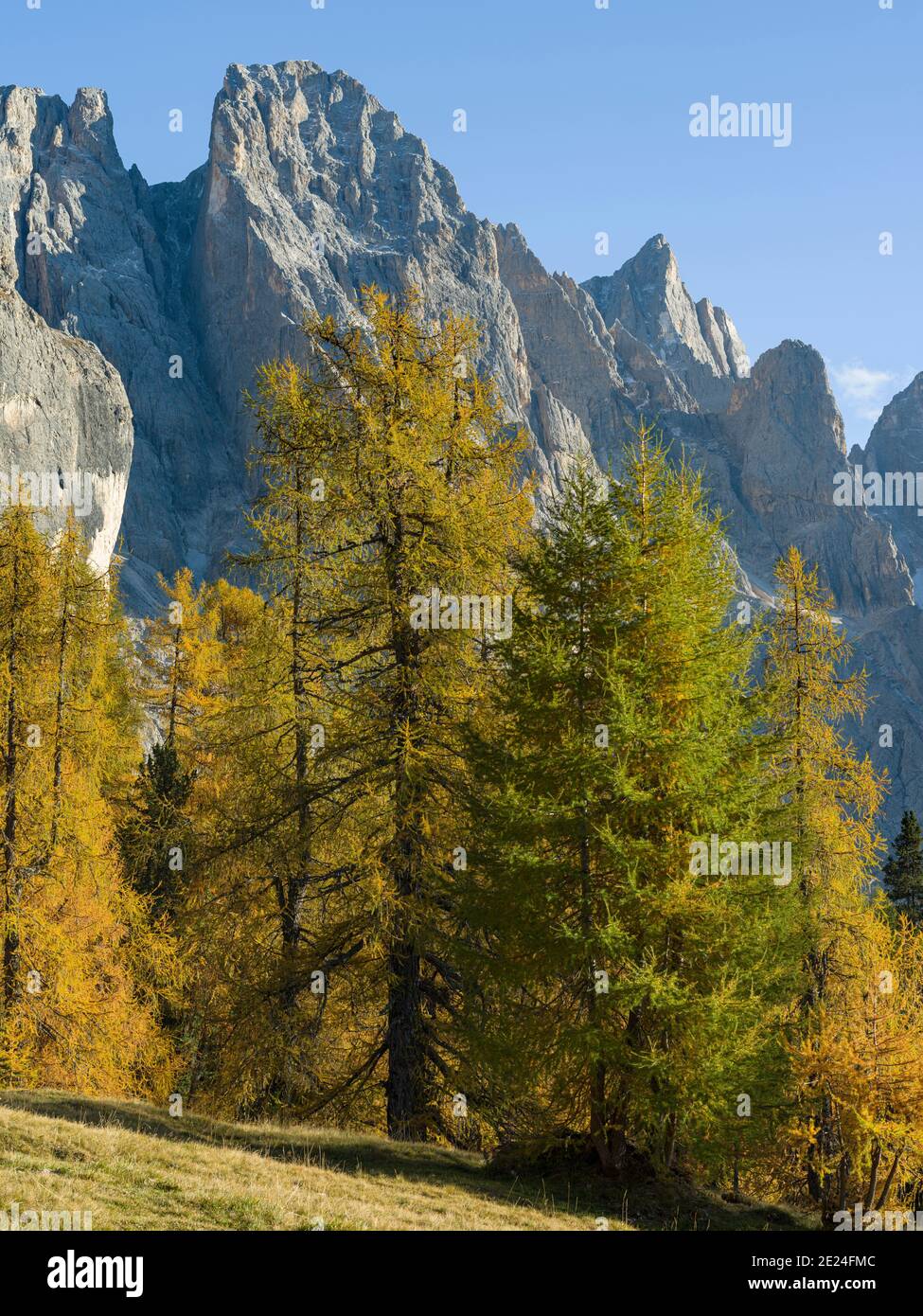 Peaks towering over  Val Venegia.  Pala mountain range (Pale di San Martino) in the dolomites of Trentino. Pala is part of the UNESCO world heritage D Stock Photo