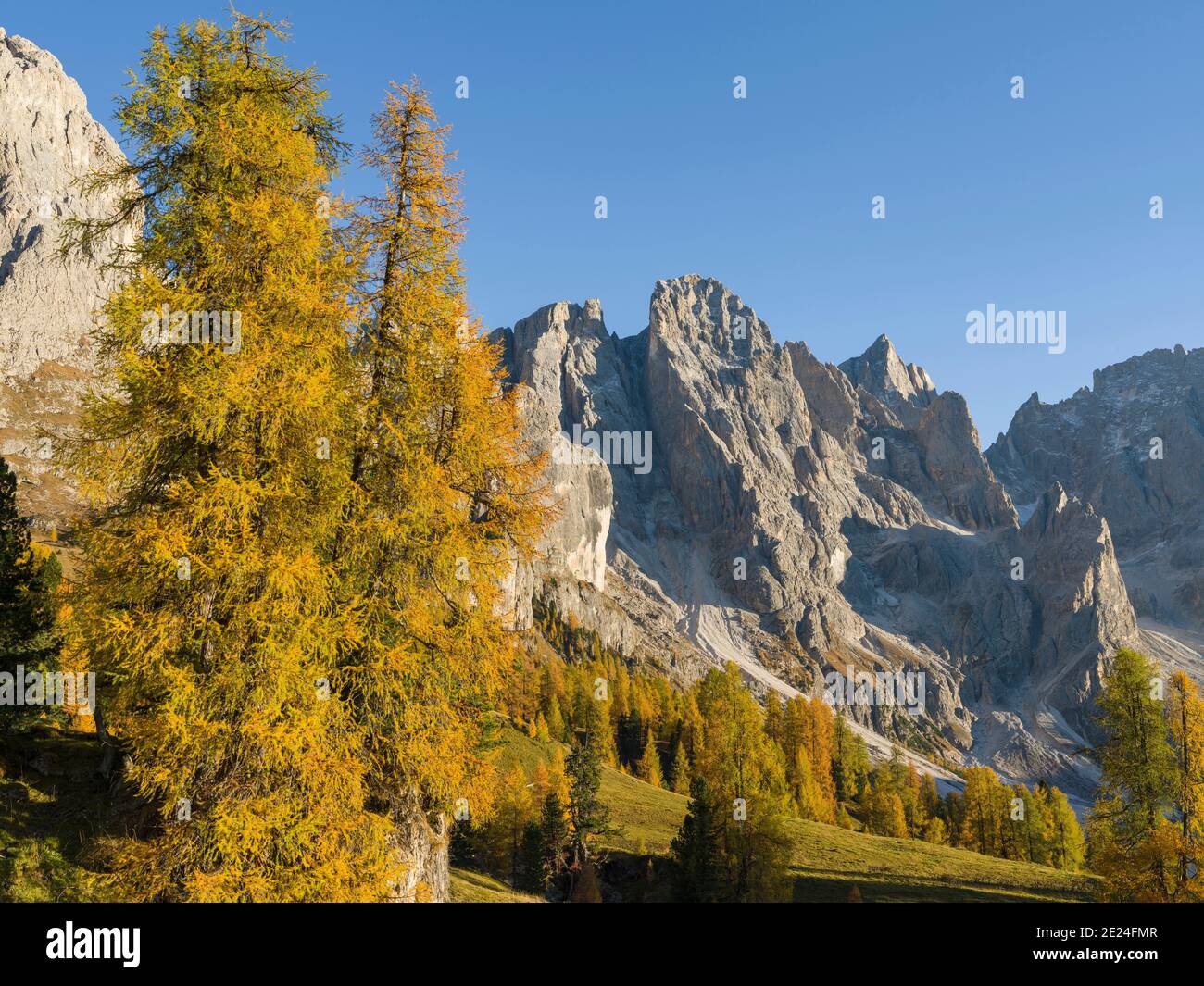 Peaks towering over  Val Venegia.  Pala mountain range (Pale di San Martino) in the dolomites of Trentino. Pala is part of the UNESCO world heritage D Stock Photo