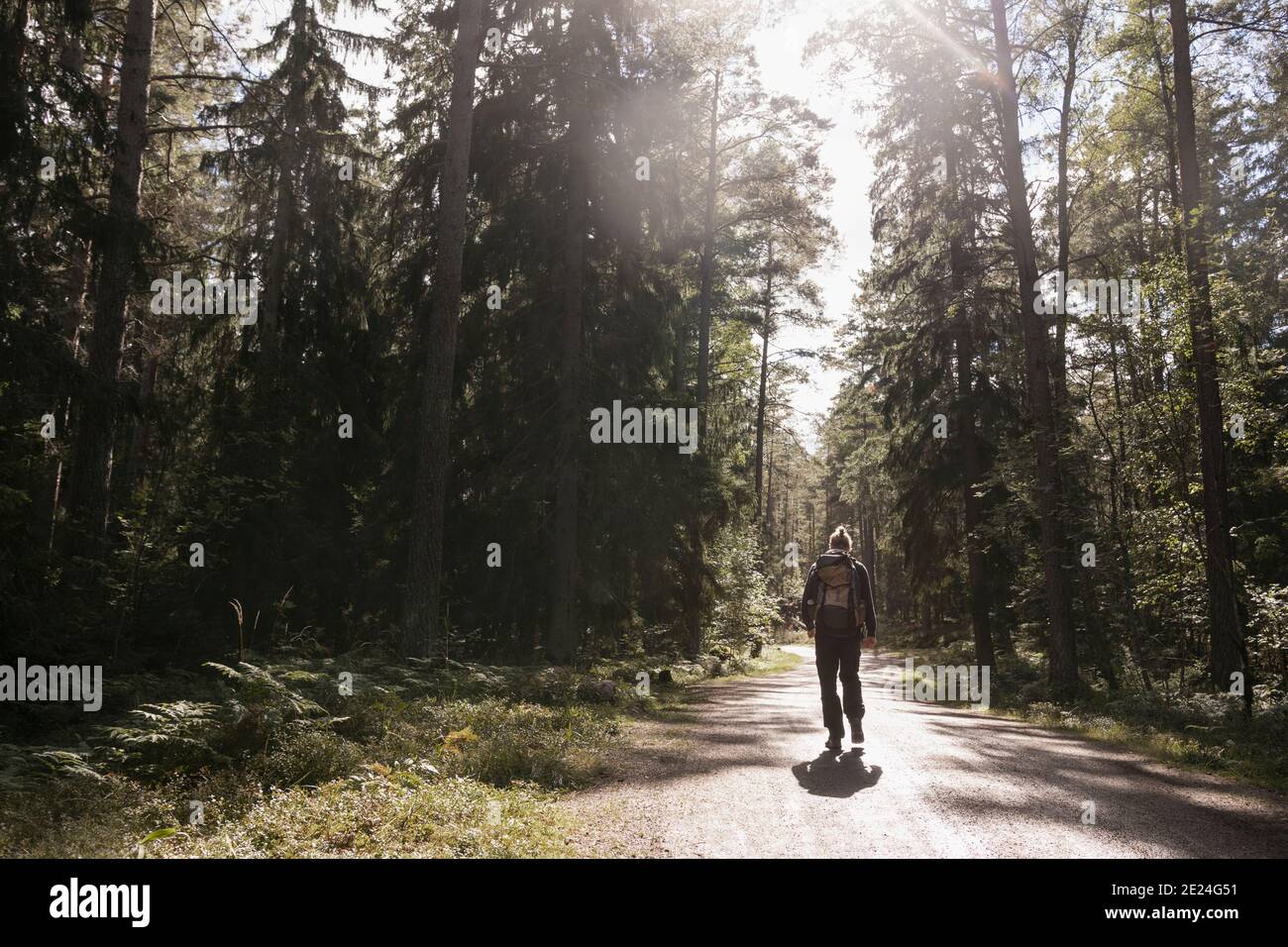 Man from rear forest hi-res stock photography and images - Alamy