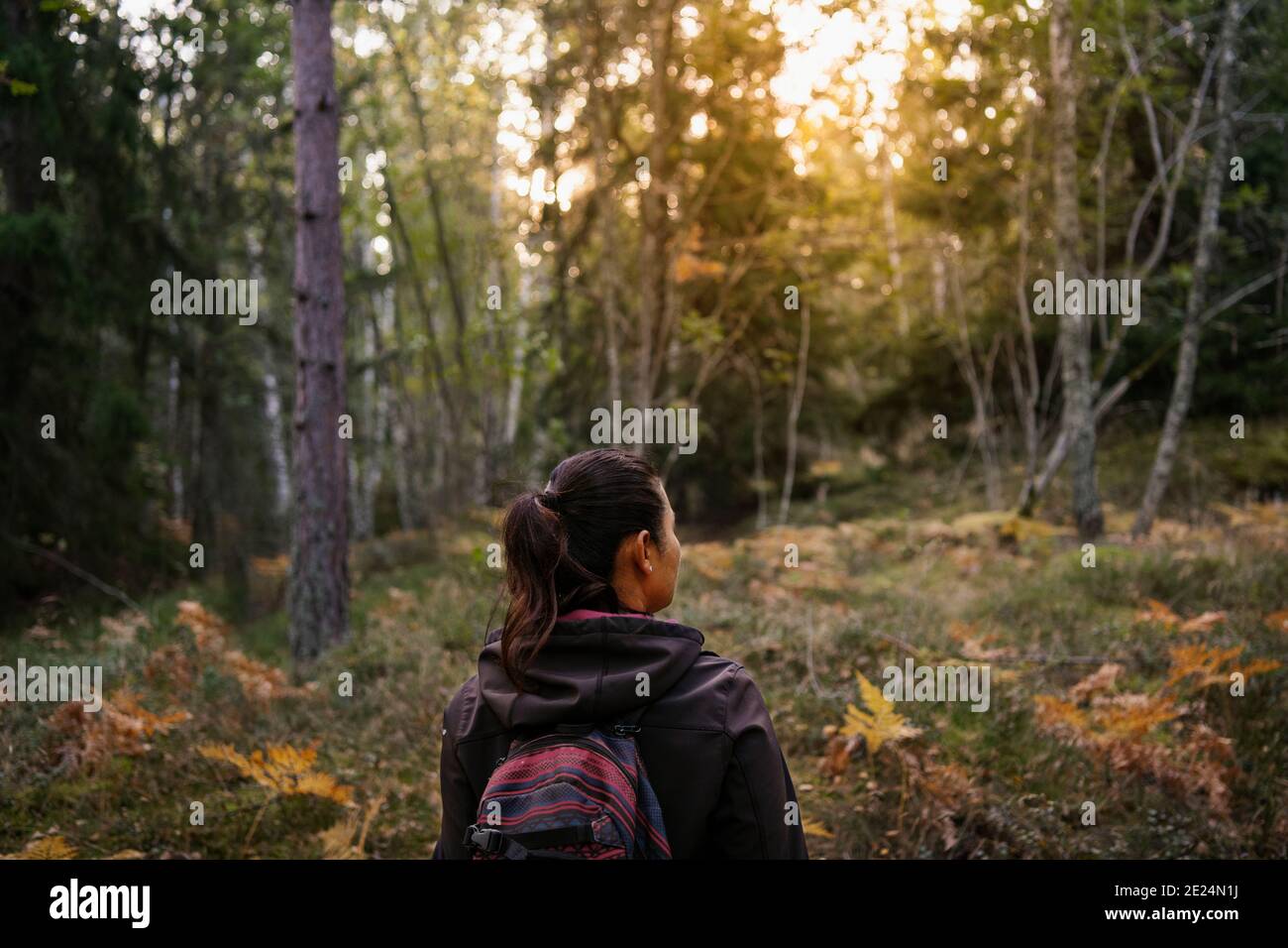 Rear view mature woman in hi-res stock photography and images - Alamy