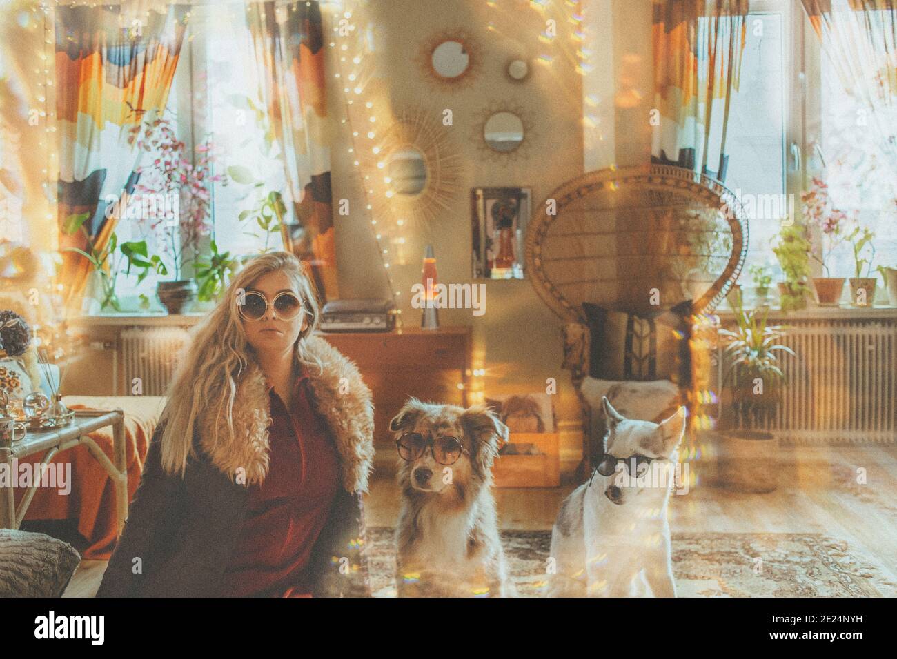 Woman two dogs husky on hi-res stock photography and images - Alamy