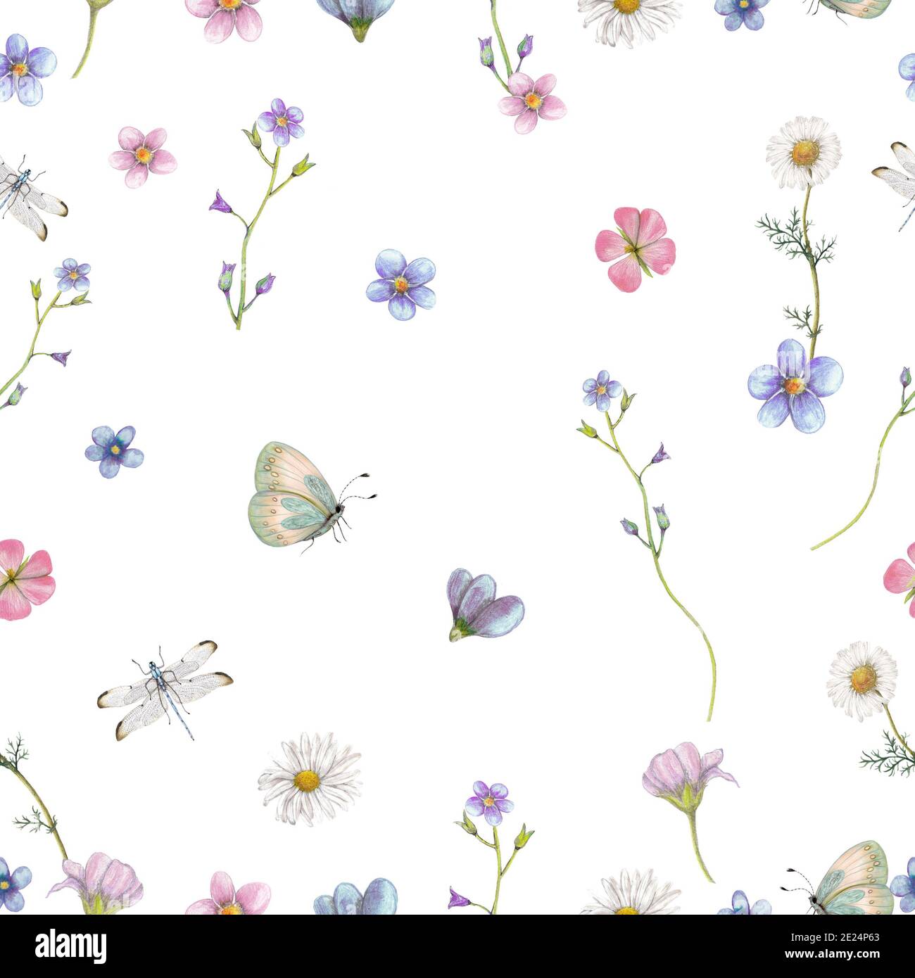 Garden wildflowers seamless pattern, Repeat floral pattern Stock Photo