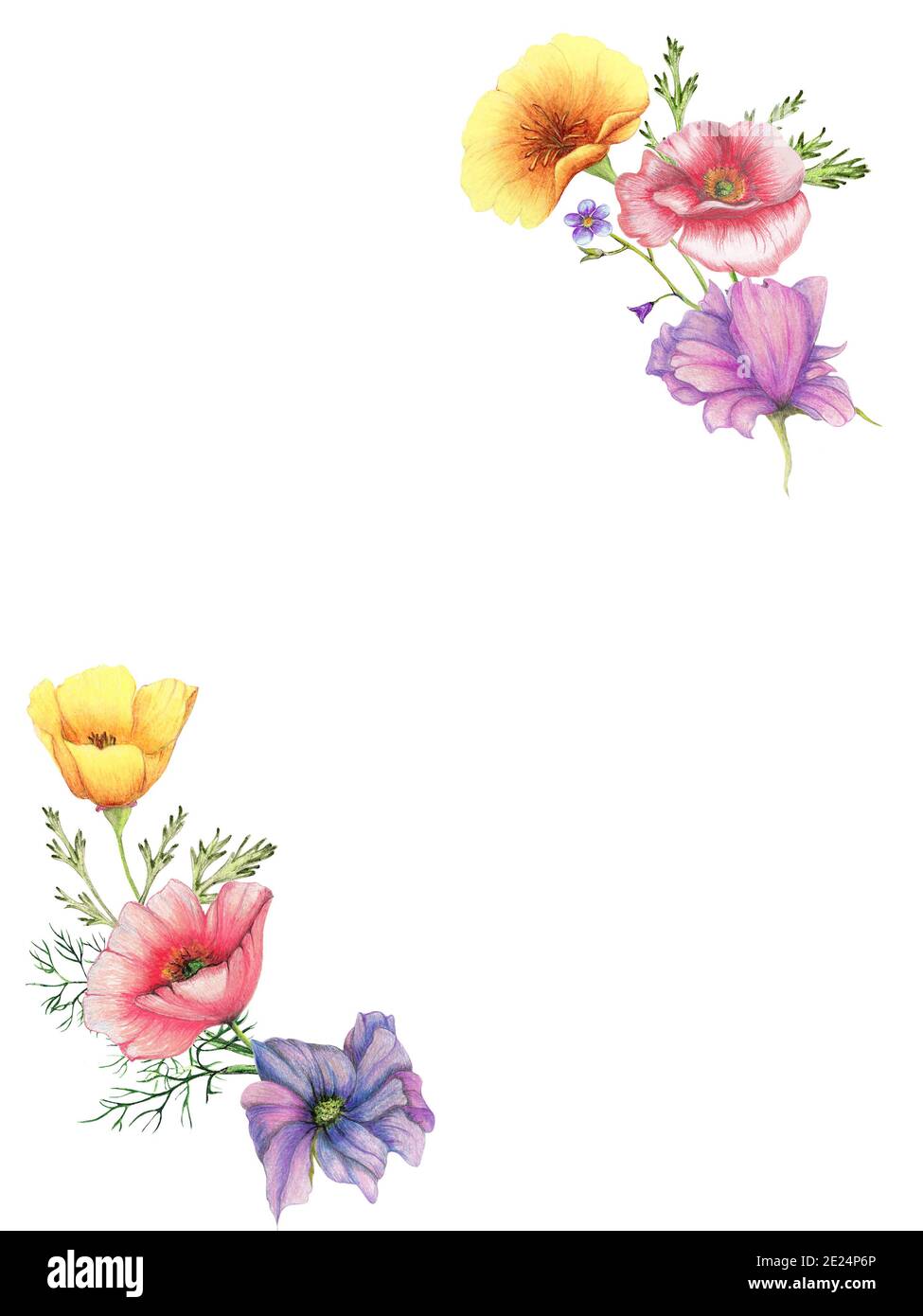 Blank Cards with Tiny Flower Frames 24 PNG files
