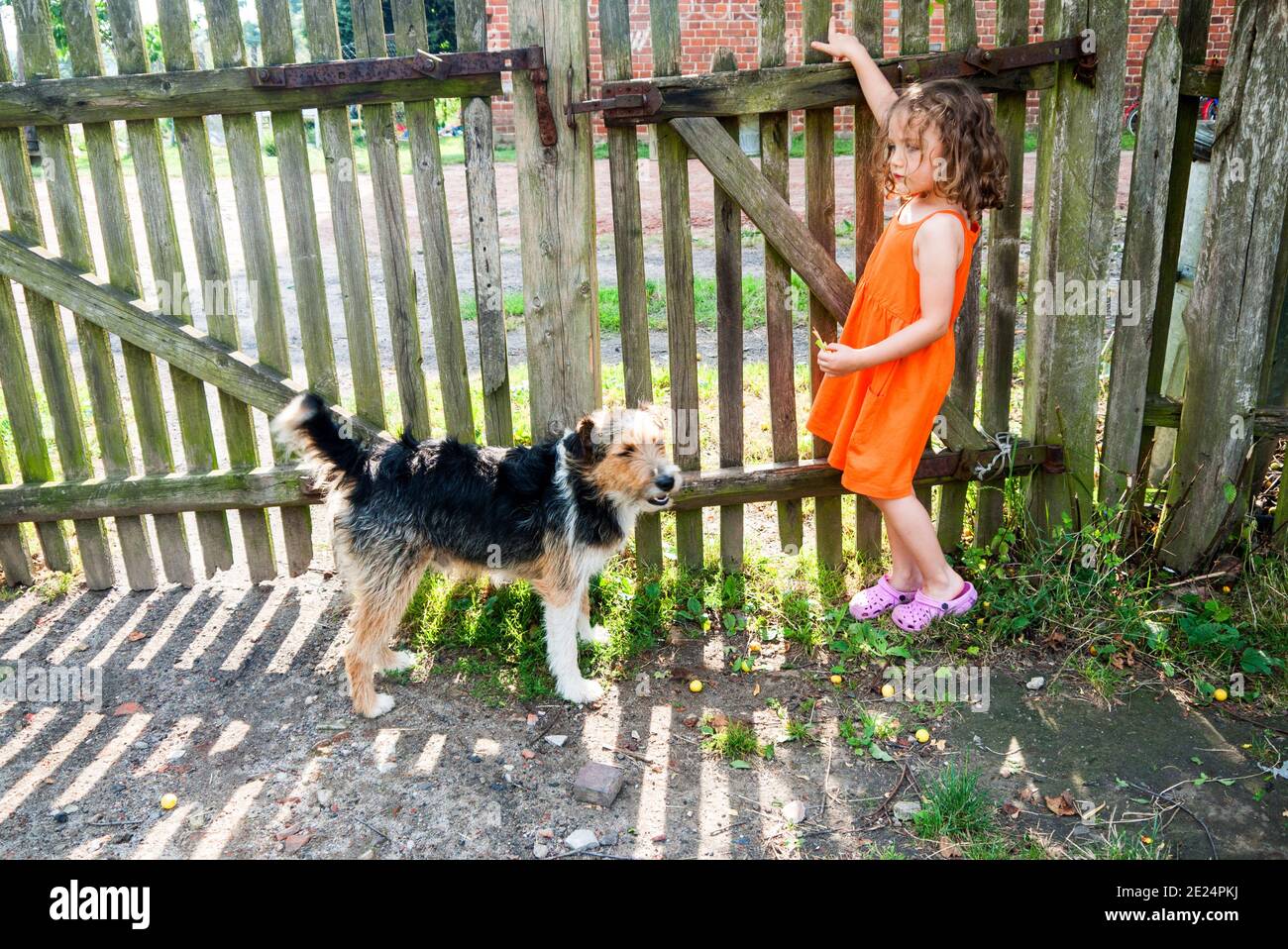 Girl standing in a garden with her dog Stock Photo - Alamy