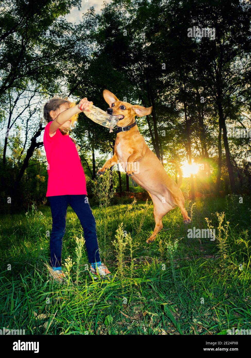 Girl playing with her dog in the park, Italy Stock Photo - Alamy