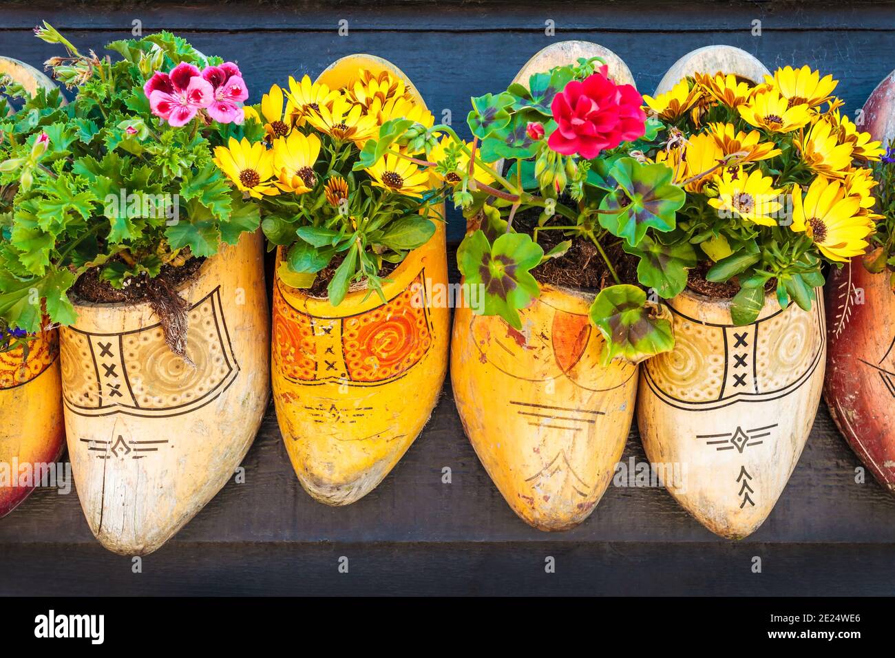 Old wooden clogs with blooming flowers hanging on a black wooden wall in The Netherlands Stock Photo