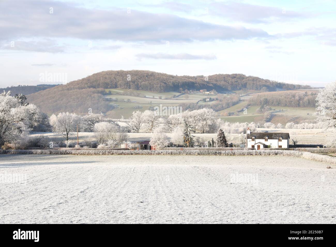 Hoar frost over farmland, Windmill Lane , Welshpool, Powys, Wales, U.K., 2021 Stock Photo