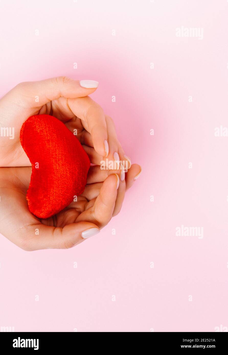Female hands with a red plush heart on a pink background with empty ...