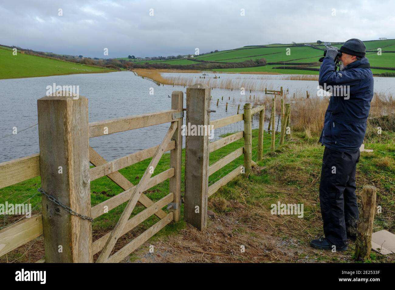 Birdwatcher looking through his binoculars at South Milton Ley Reserve. Thurlestone, South Devon, UK Stock Photo
