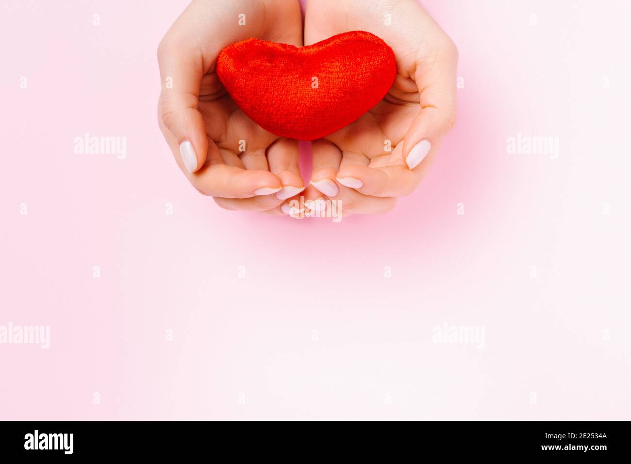 Hands hold a tender red plush heart on a pink background with bottom ...