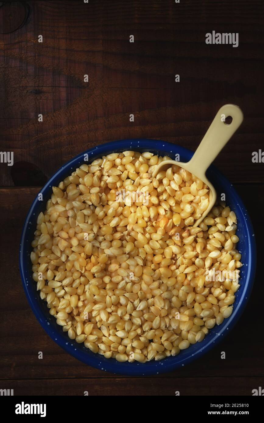 Bowl full of popcorn kernels with scoop on rustic dark wood table. Vertical with warm side light and copy space. Stock Photo