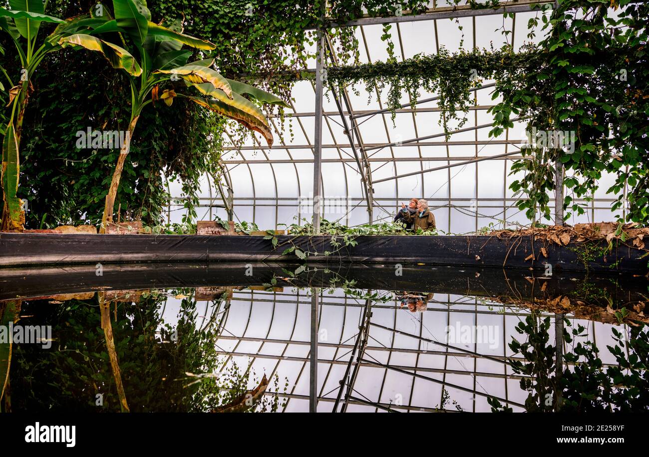 Visitor attraction Brittain's hottest garden the Ventnor Botanic Garden on the Isle of Wight