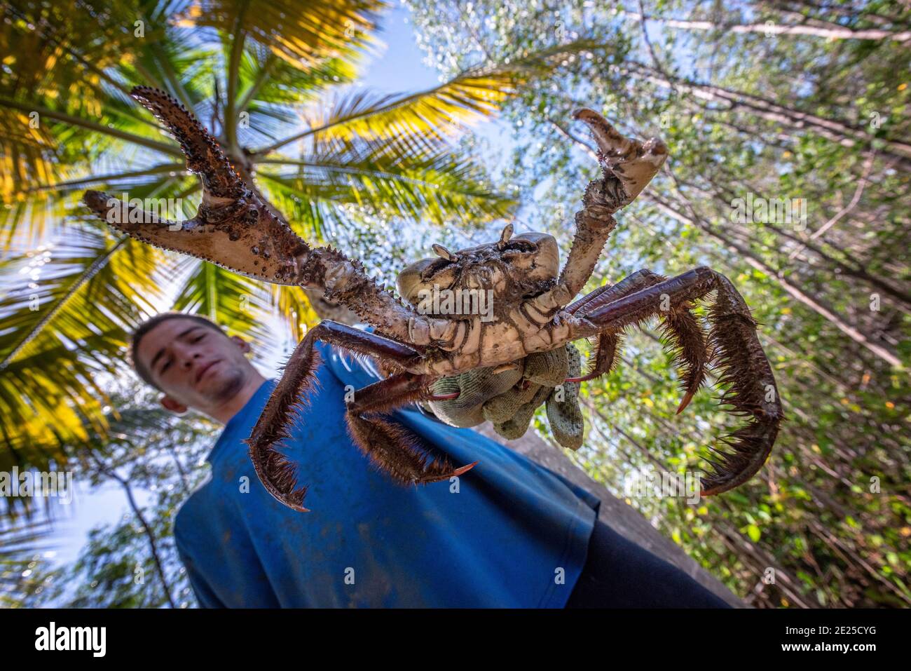 Crab fishing, Kourou, French Guiana. Cooking crab is a Guyanese