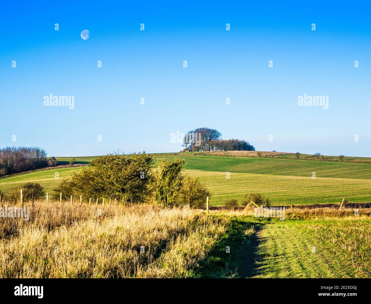 A sunny winter's morning on the Marlborough Downs in Wiltshire with the moon above Liddington Hill. Stock Photo