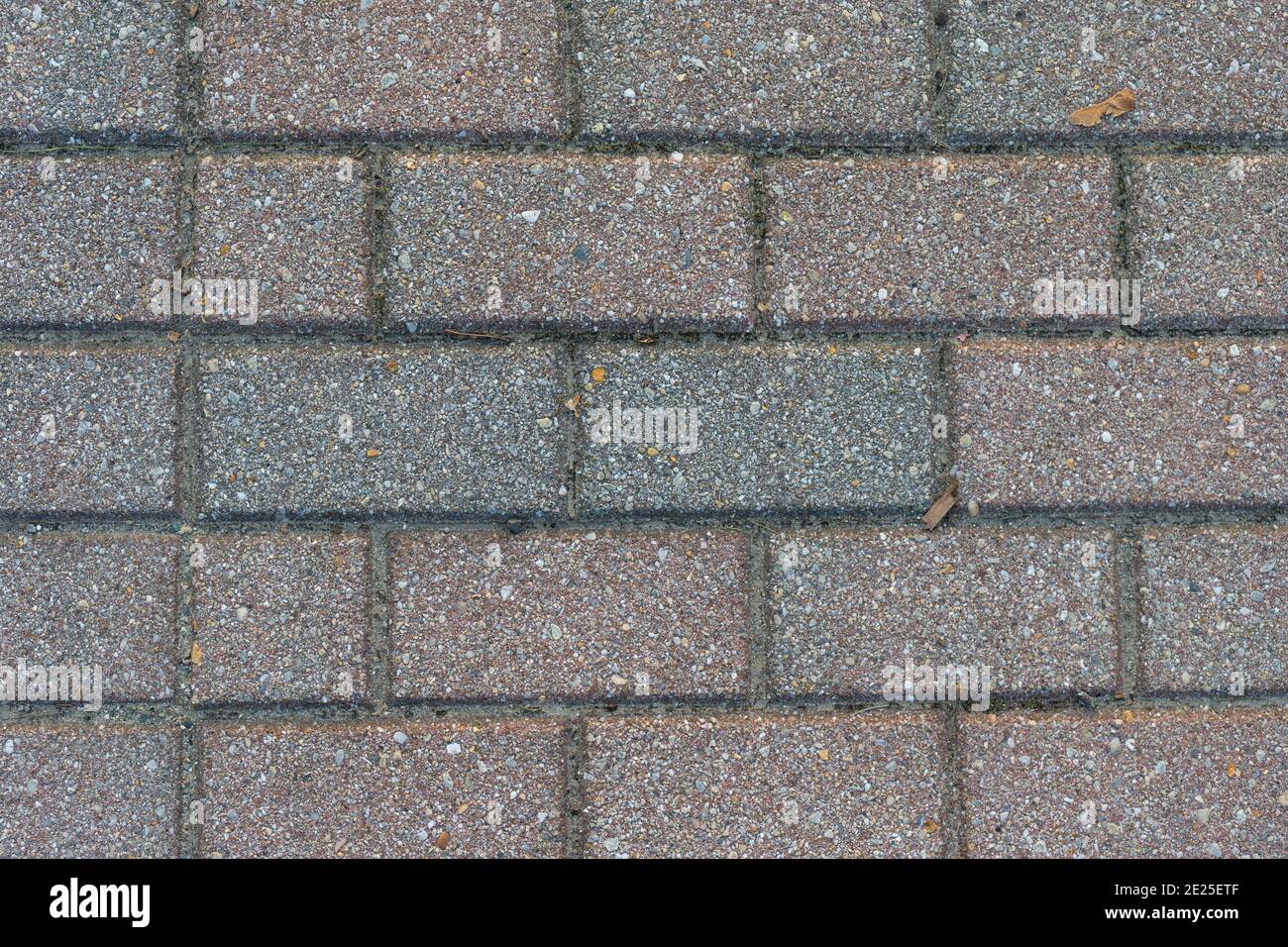 Top view of several rows of paving bricks in the early morning light. Stock Photo