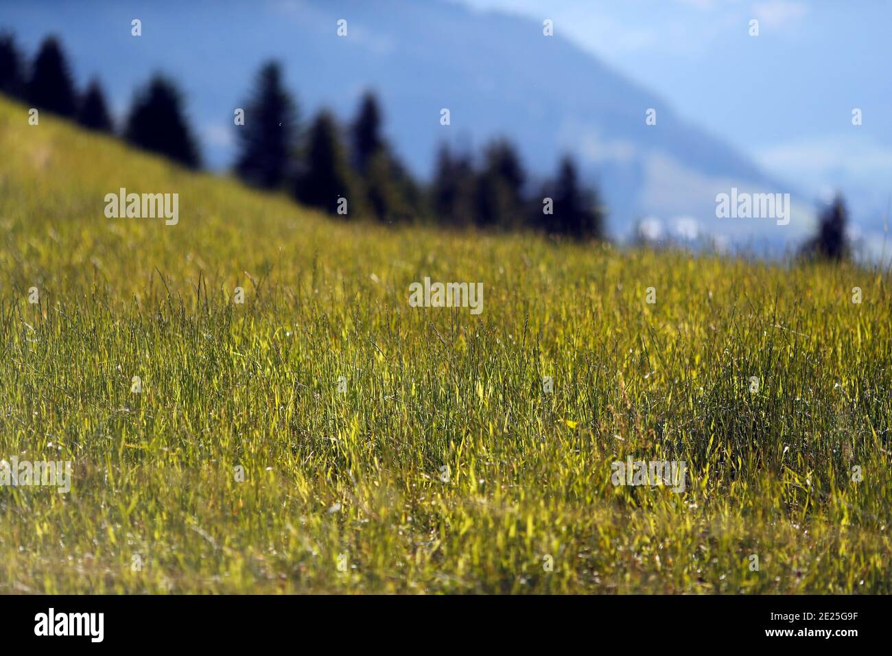 Mont d'Arbois and Mont Joux in summer. French Alps.  France. Stock Photo