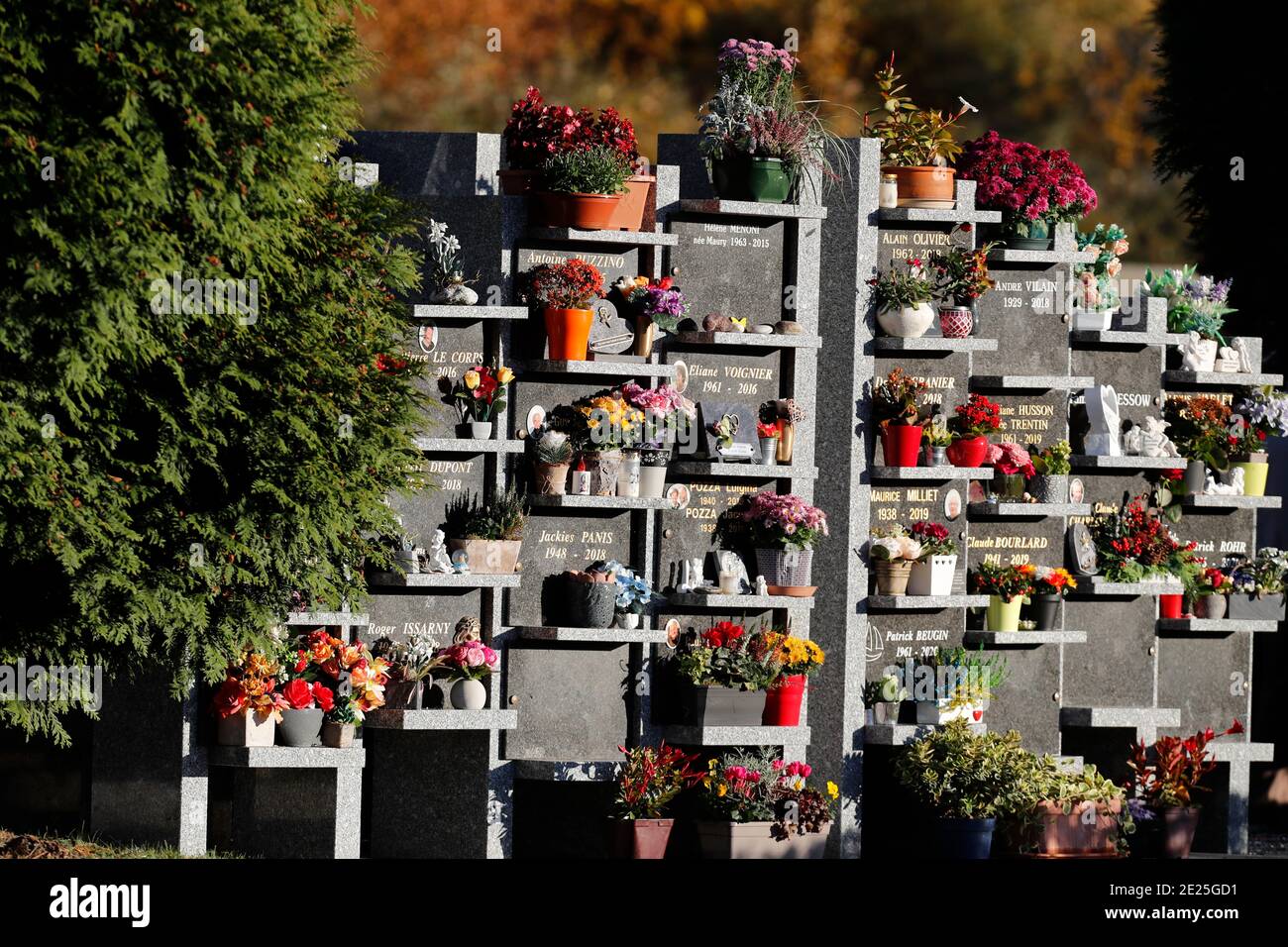 All Saints Day in a cemetery. Chrysanthemum on grave. France Stock