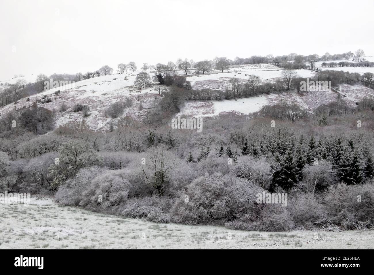 Winter snow in rural Carmarthenshire countryside December 2020 Wales UK   KATHY DEWITT Stock Photo