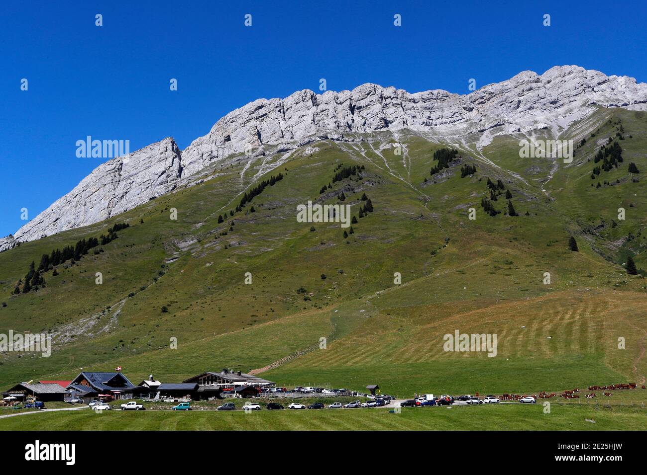 The Col des Aravis is a mountain pass in the French Alps that connects the towns of La Clusaz in Haute-Savoie with La Giettaz in Savoie.  France. Stock Photo