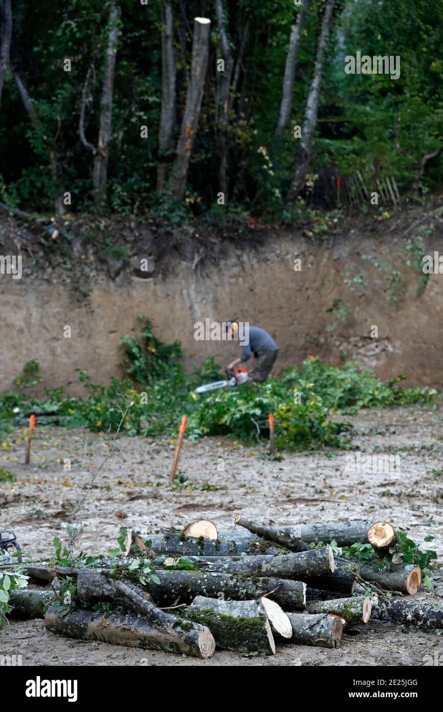 Lumberjack at work. France Stock Photo Alamy