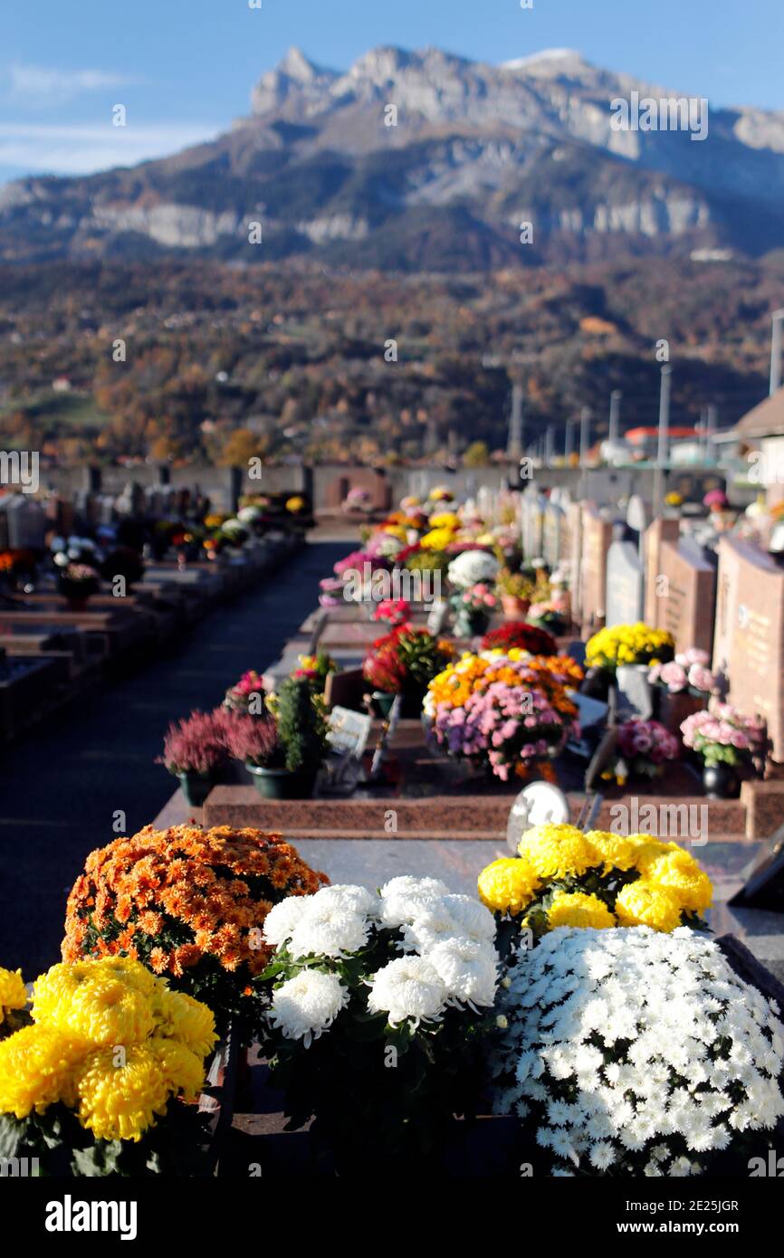 All Saints Day in a cemetery. Chrysanthemum on grave. France Stock