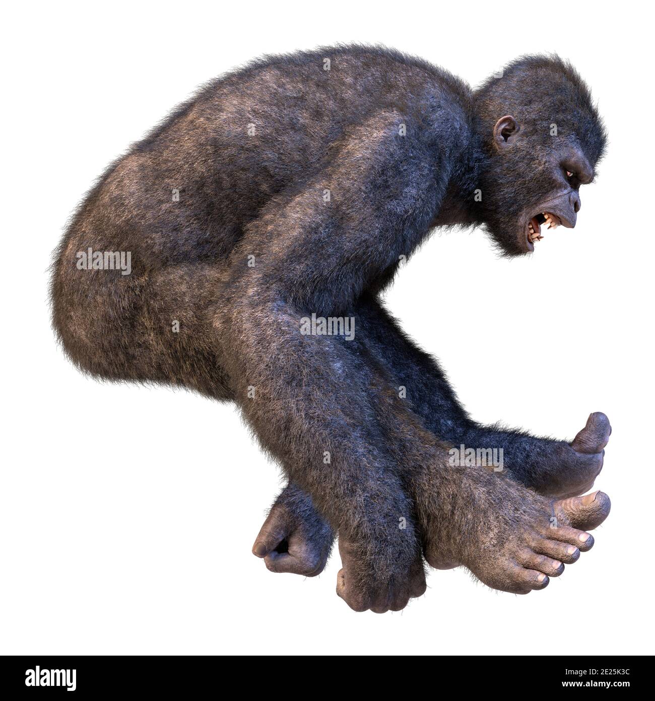 Human Gorilla Hybrid