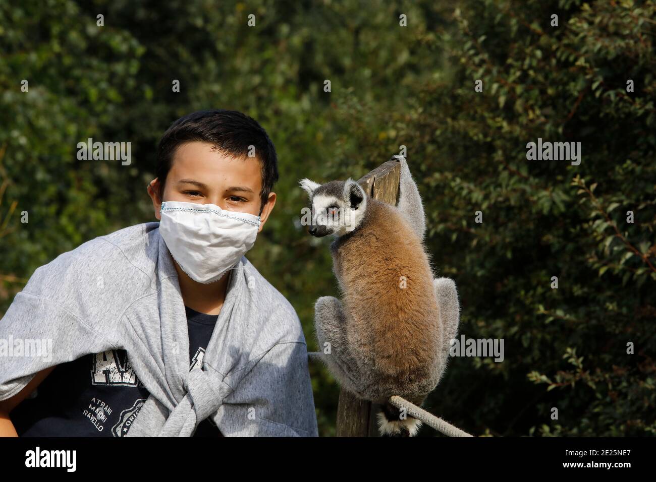 Boy with Maki Catta (LEMUR CATTA) in Thoiry zoo park, France Stock Photo