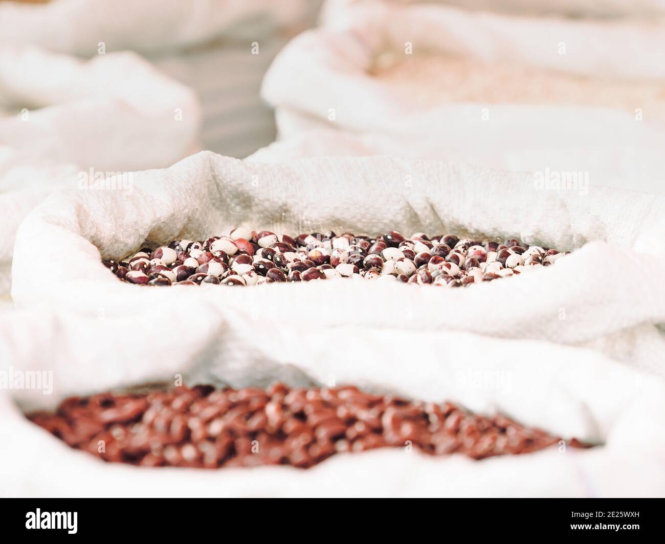 Sacks of legumes in a market stall Stock Photo