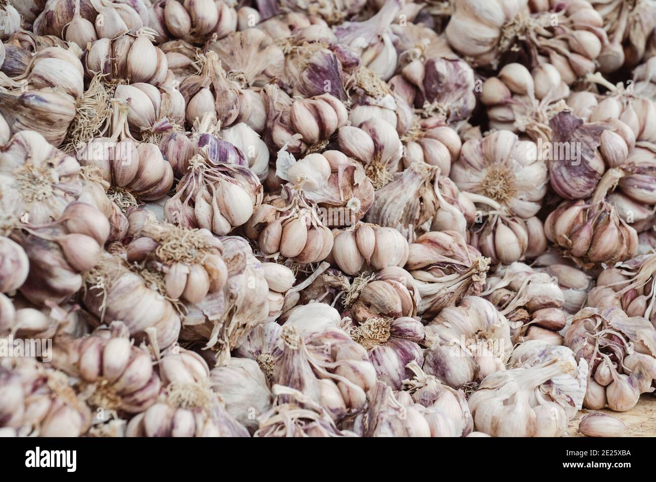 Full frame of garlic bulbs Stock Photo