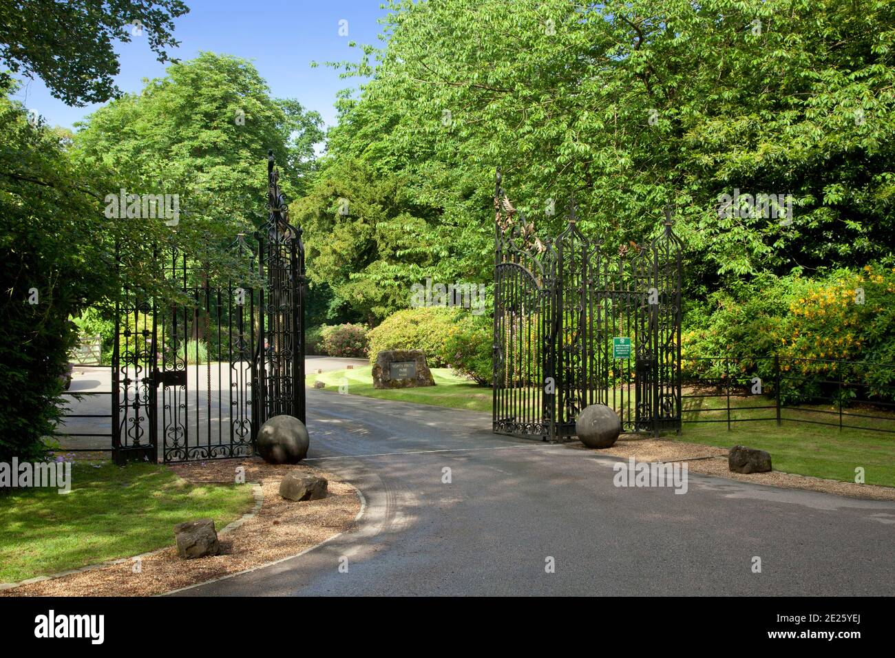 Formal black and gold wrought iron drive gates at entrance to grand  property Stock Photo