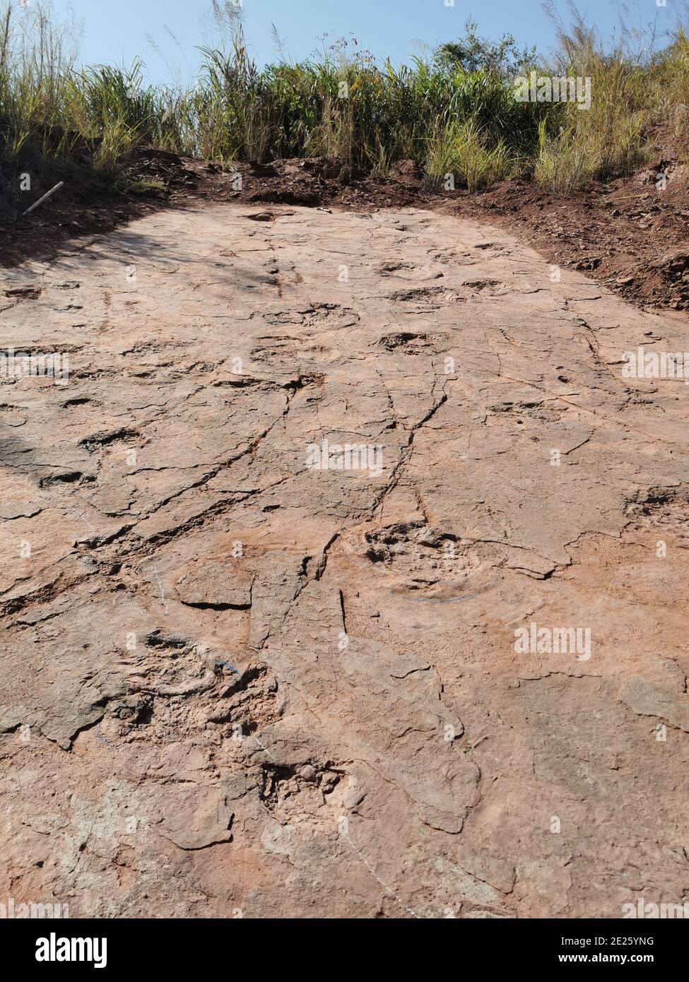 210112) -- FUZHOU, Jan. 12, 2021 (Xinhua) -- Dinosaur footprints are seen  at Longxiang Village, Lincheng Township, Shanghang County, Longyan City of  southeast China's Fujian Province, Nov. 9, 2020. A team of