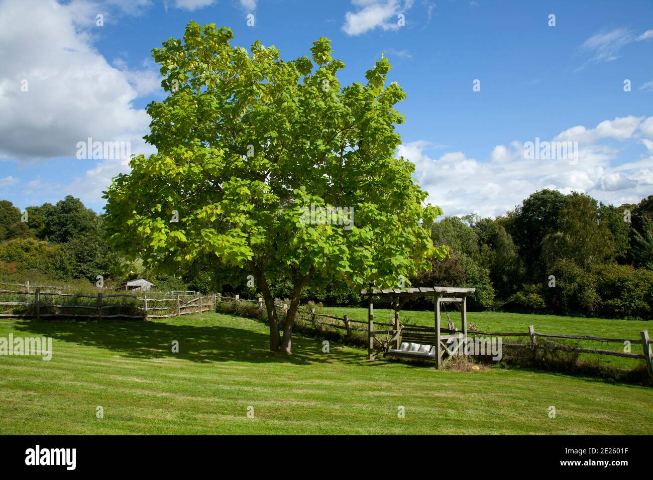 Garden with tree and wooden garden swing seat bench on edge of field Stock Photo