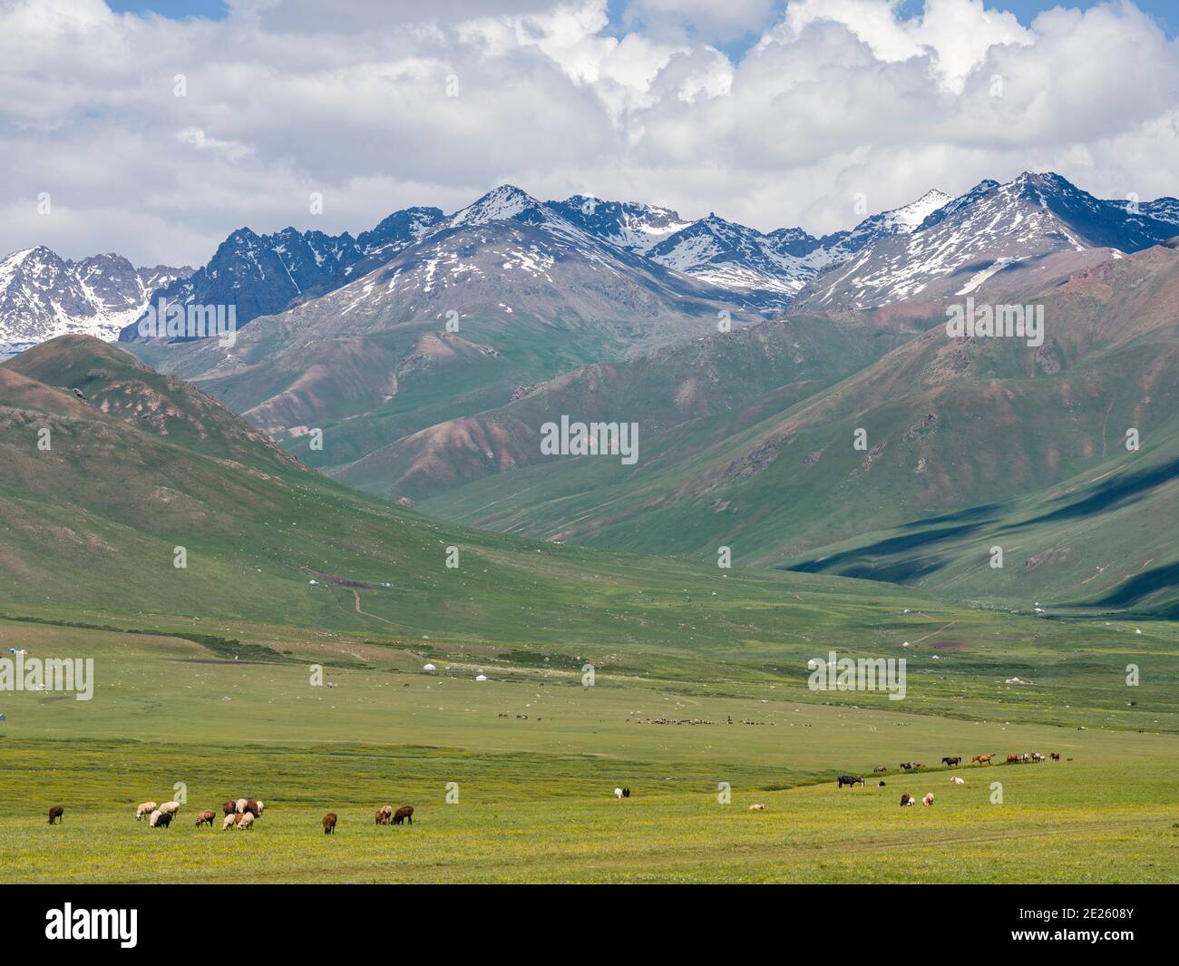 Summer pasture with traditional Jurts. The Suusamyr plain, a high valley in Tien Shan Mountains.  Asia, central Asia, Kyrgyzstan Stock Photo