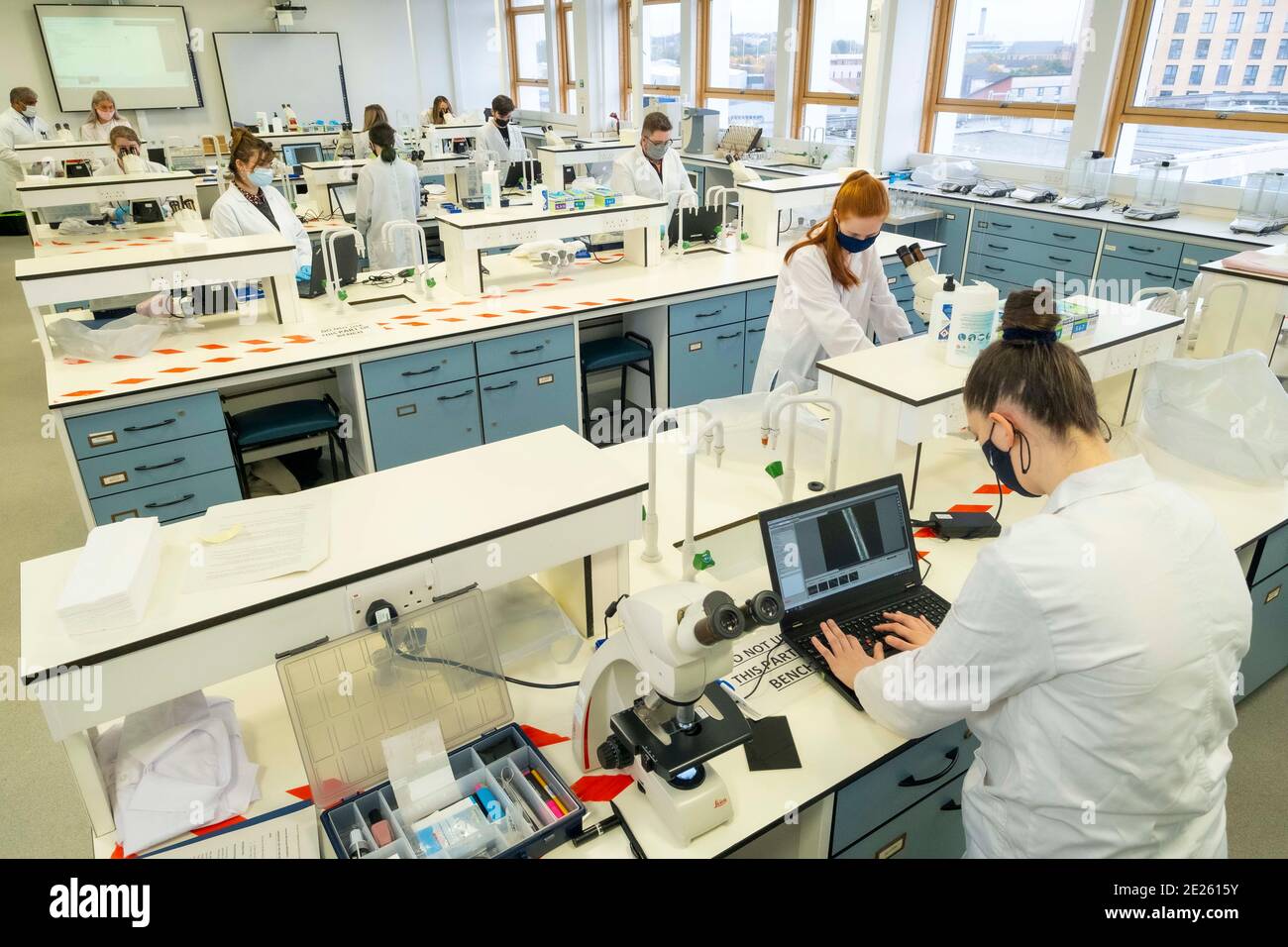 technicians working in lab wearing masks Stock Photo