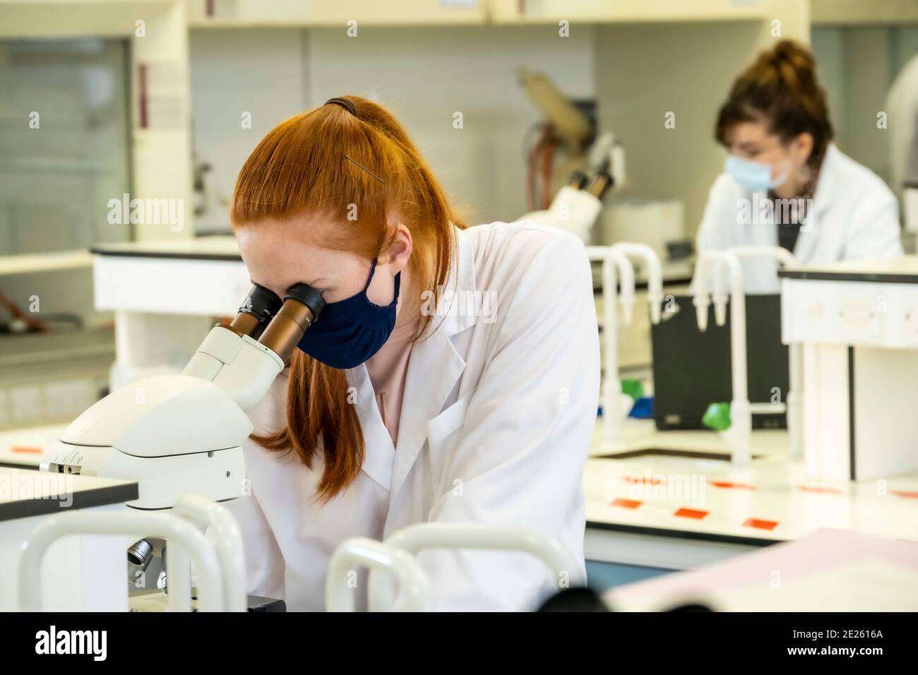 technicians working in lab wearing masks Stock Photo