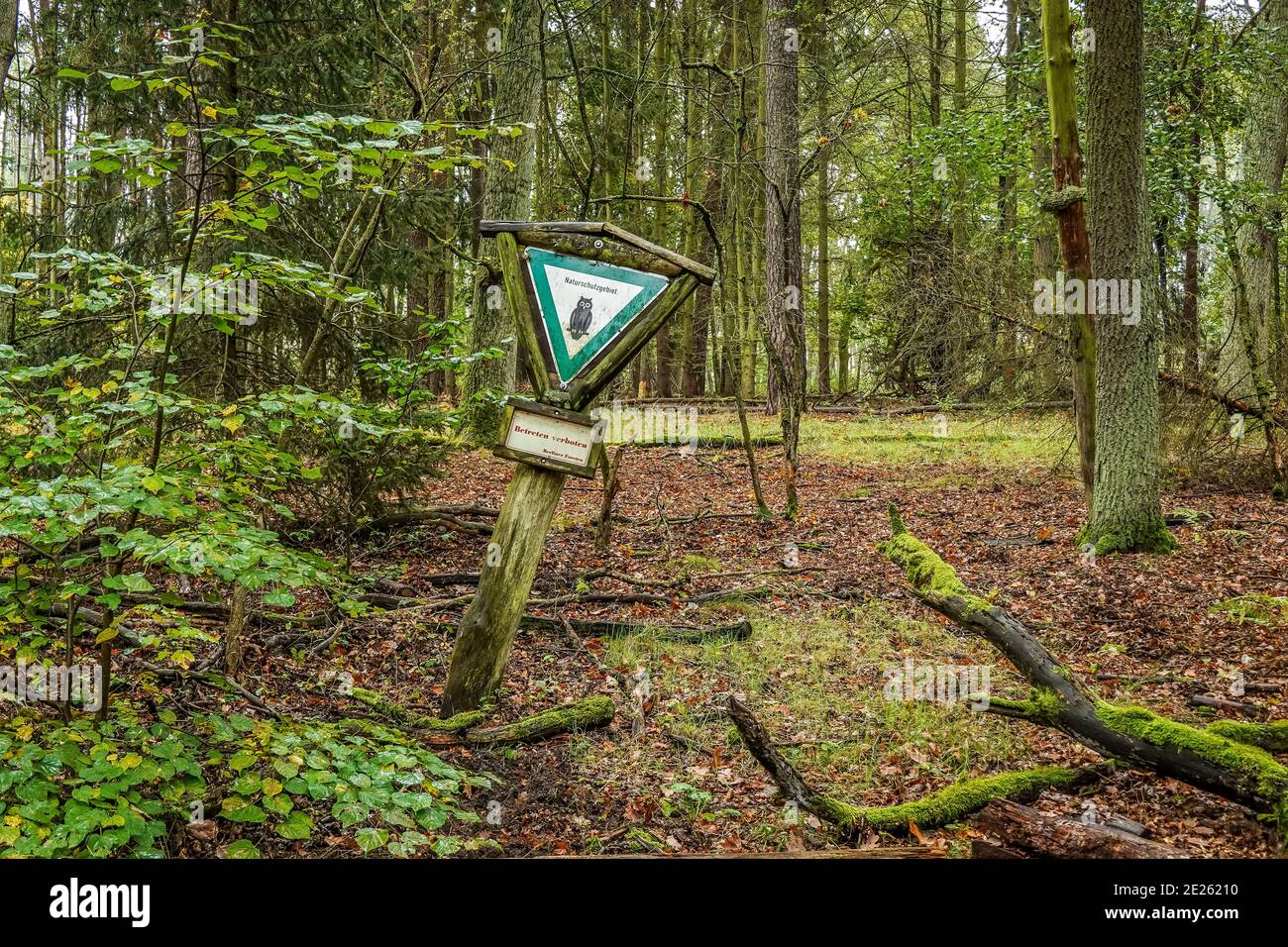 Schild, Naturschutzgebiet, Wald, Spandauer Forst, Hakenfelde, Spandau ...