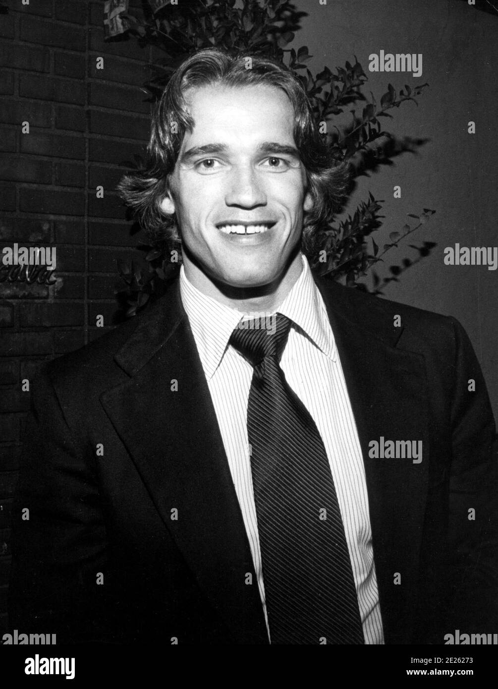 Arnold Schwarzenegger 1980 Credit: Ralph Dominguez/MediaPunch Stock