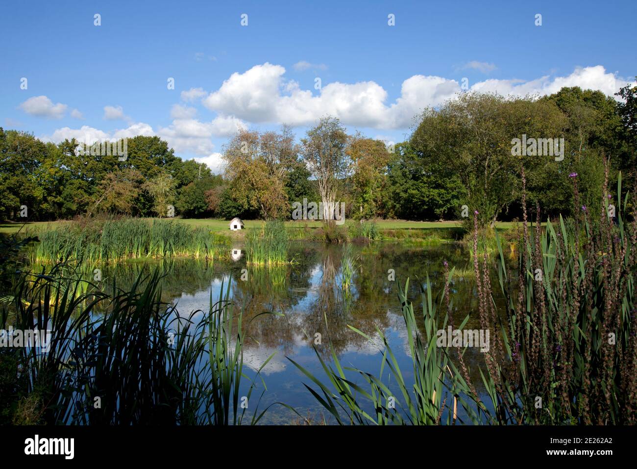 Large garden pond or lake with duck house and sky reflection Stock Photo