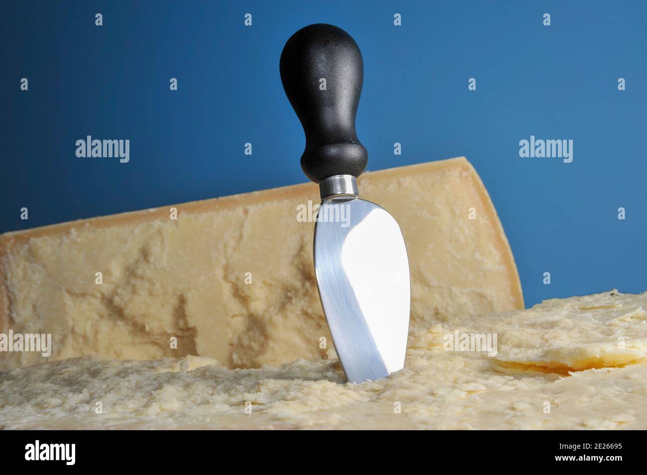 Parmesan knife with the typical drop shape, planted in the open form of parmesan cheese Stock Photo