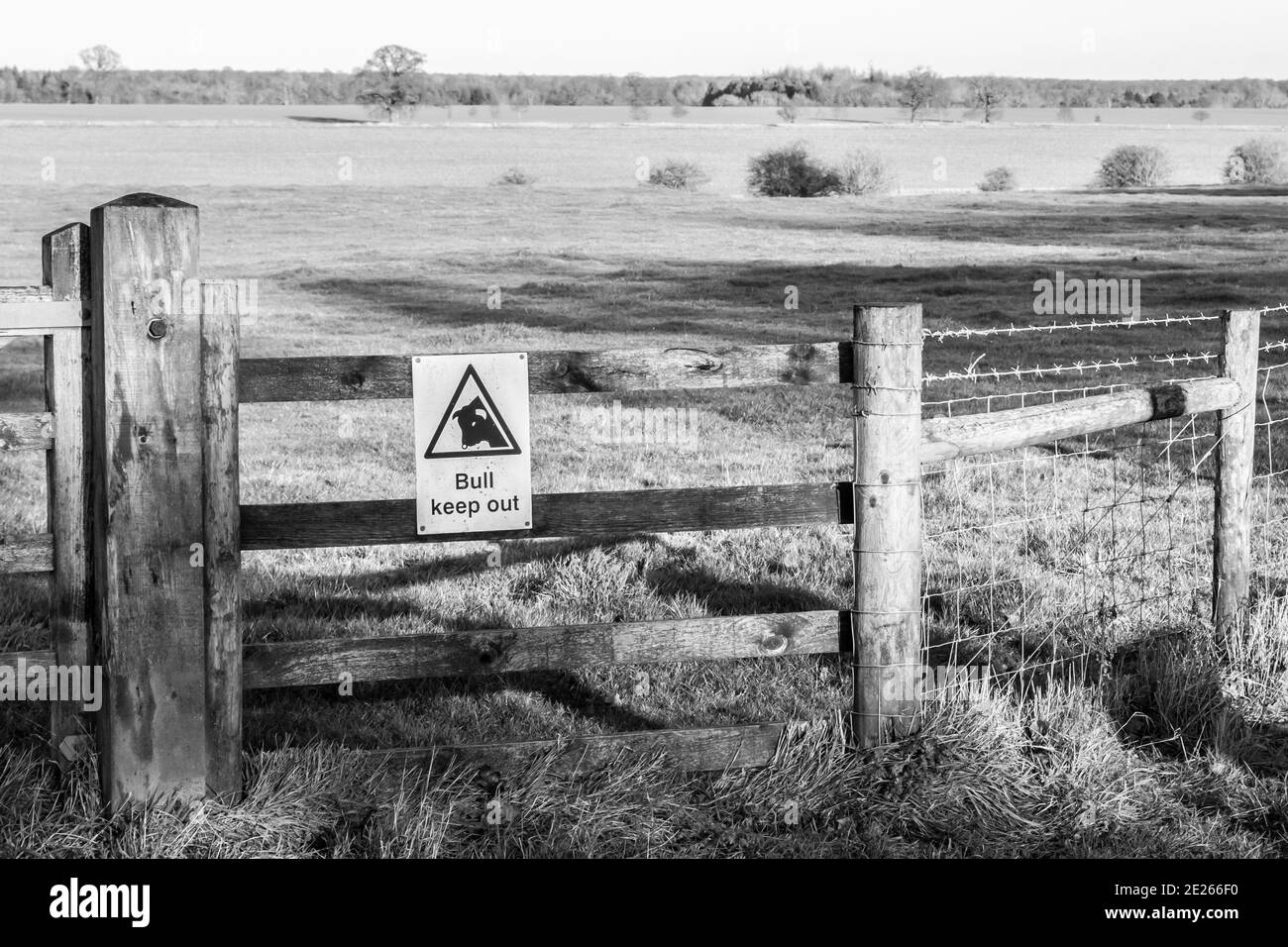Green field in Exton, Rutland, England Stock Photo Alamy