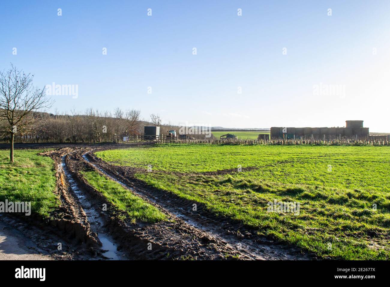 Green field in Exton, Rutland, England Stock Photo Alamy