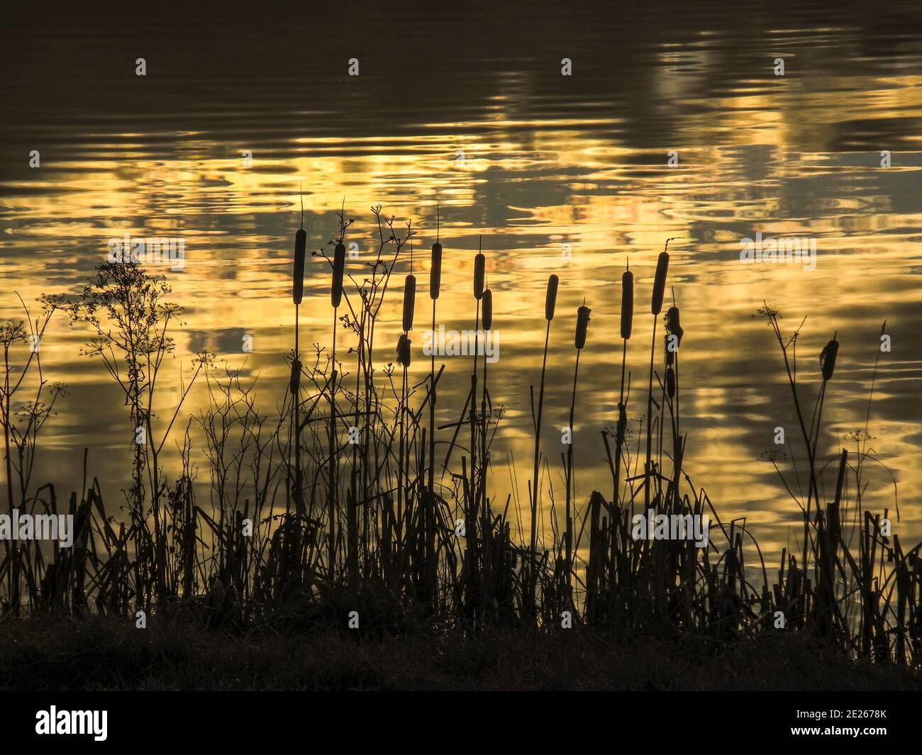 Reflections of sky in water hi-res stock photography and images - Alamy