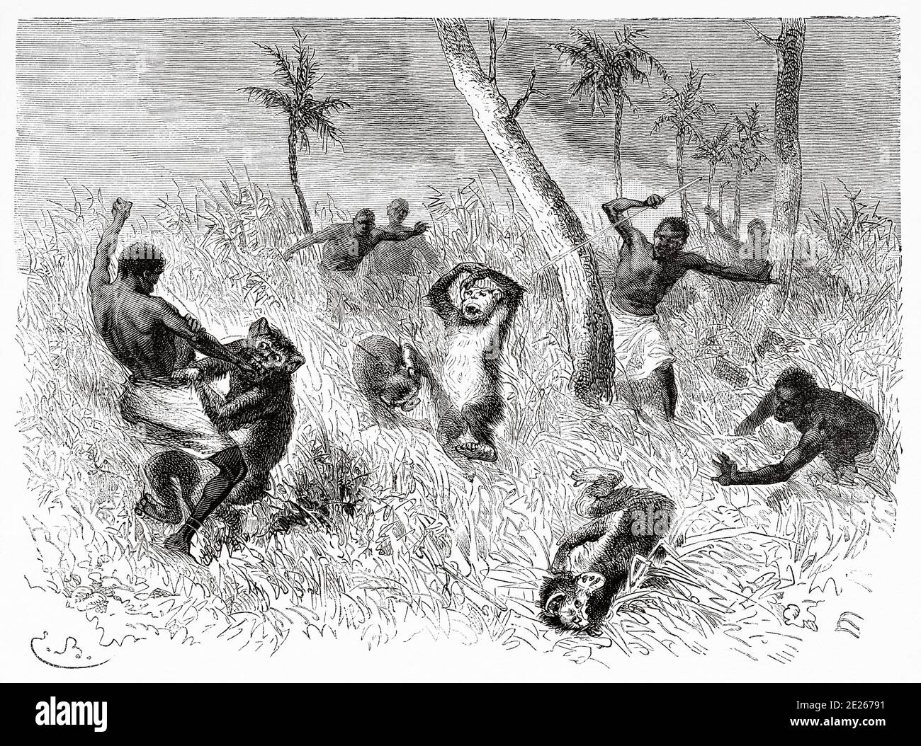 Soko monkey hunt. The Last Journals of David Livingstone  Scottish missionary and explorer, 1866-1873. Old engraving El Mundo en la Mano 1878 Stock Photo
