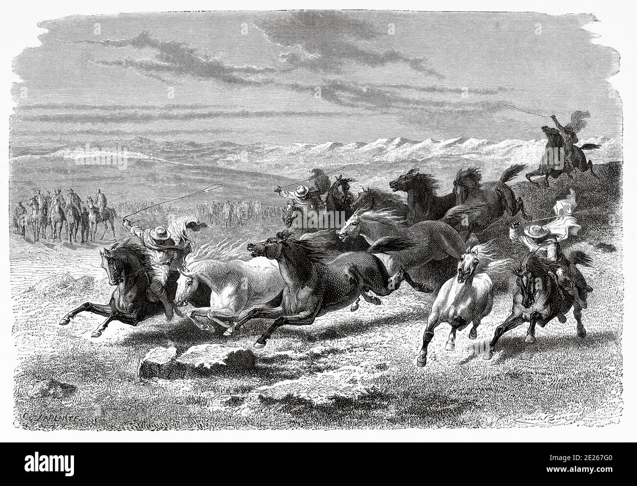 Argentinian gauchos rounding up wild horses in Lauramarca, Peru. South America. Trip to the Valley of the Quinas by Paul Marcoy. Old engraving El Mundo en la Mano 1878 Stock Photo