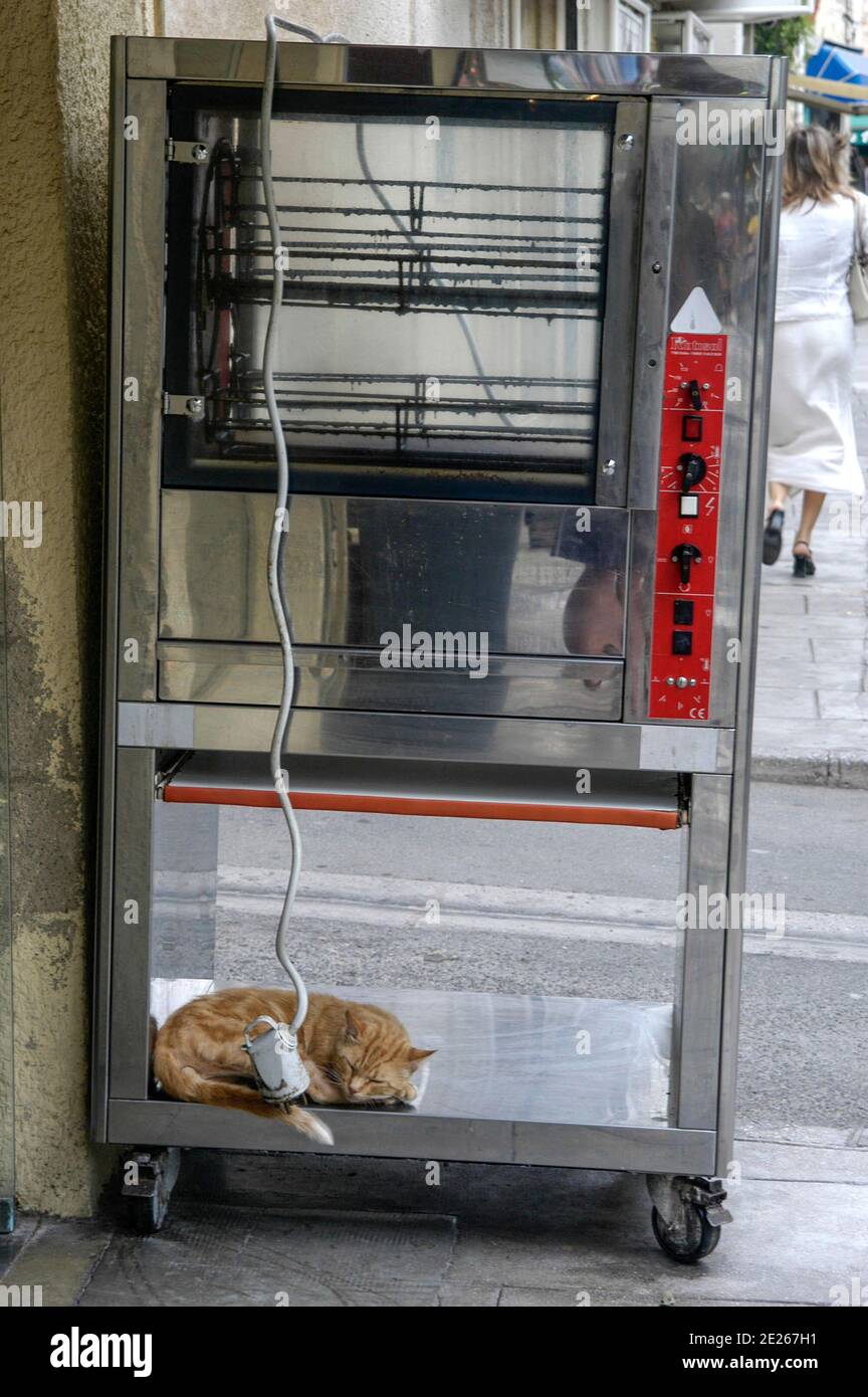 cat in a rotisserie Stock Photo Alamy