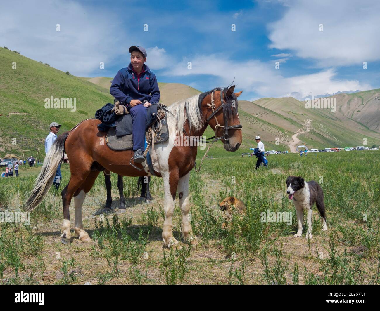 Hunting dog before the competition. Folk Festival commemorating the origin myth the Tien Shan Maral (Tian Shan wapiti), an origin myth of the Kyrgyz t Stock Photo