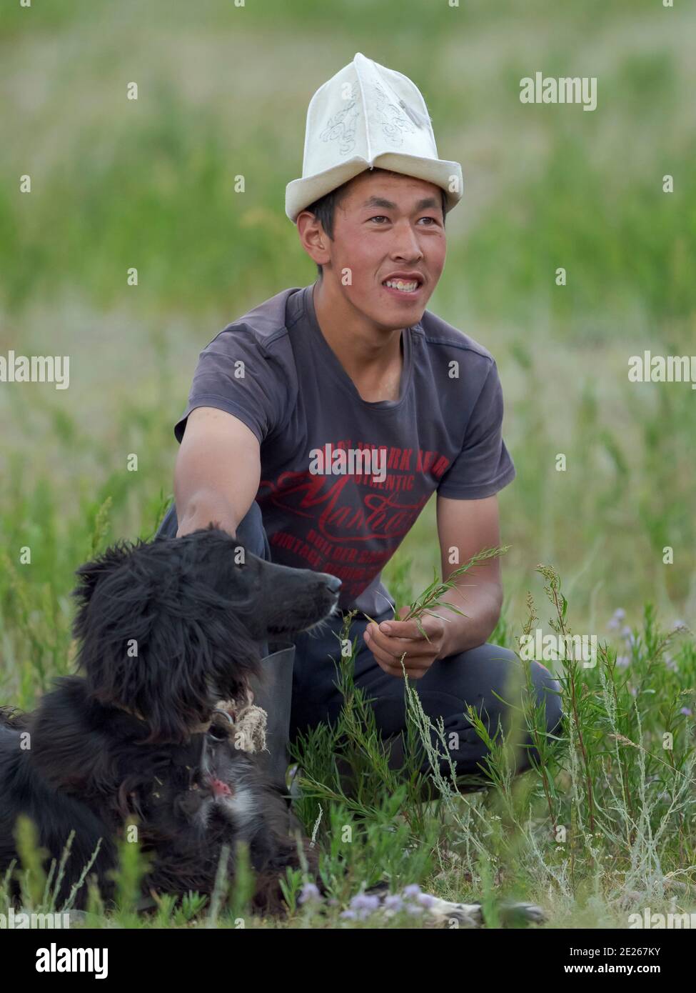 Hunting dog (Taigan) before the competition. Folk Festival commemorating the origin myth the Tien Shan Maral (Tian Shan wapiti), an origin myth of the Stock Photo